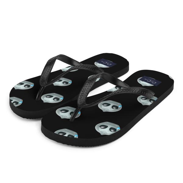 Flip-Flops Flip-Flops