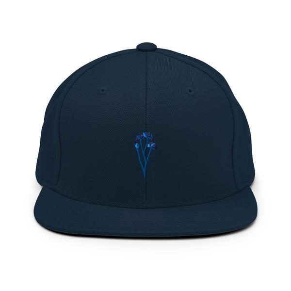 Snapback Hat Snapback Hat