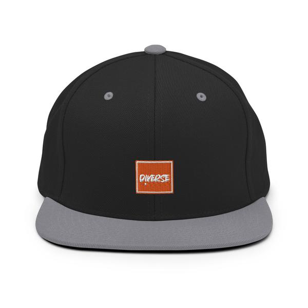 Diverse Snapback Hat (various colors) Diverse Snapback Hat (various colors)