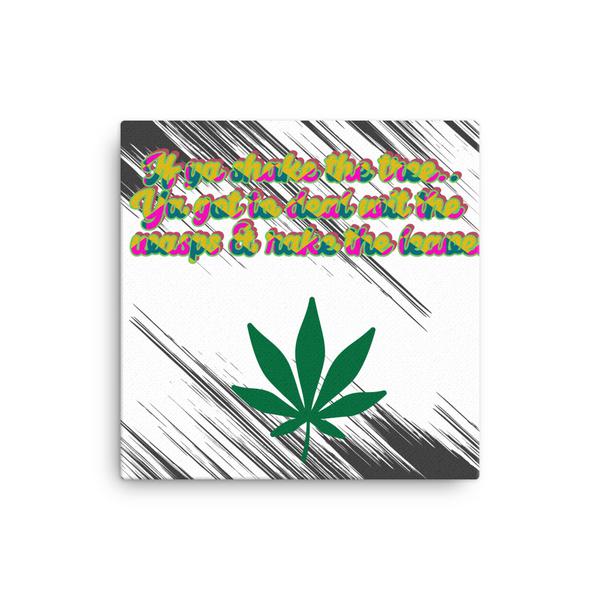 Canvas Canvas