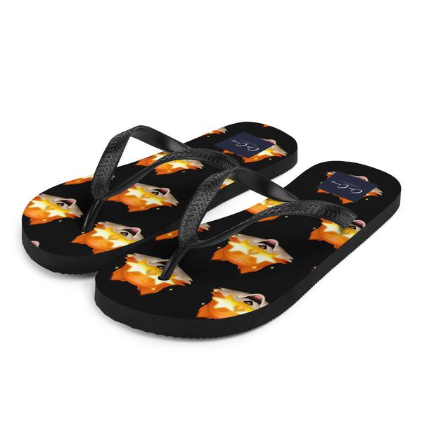 Flip-Flops Flip-Flops